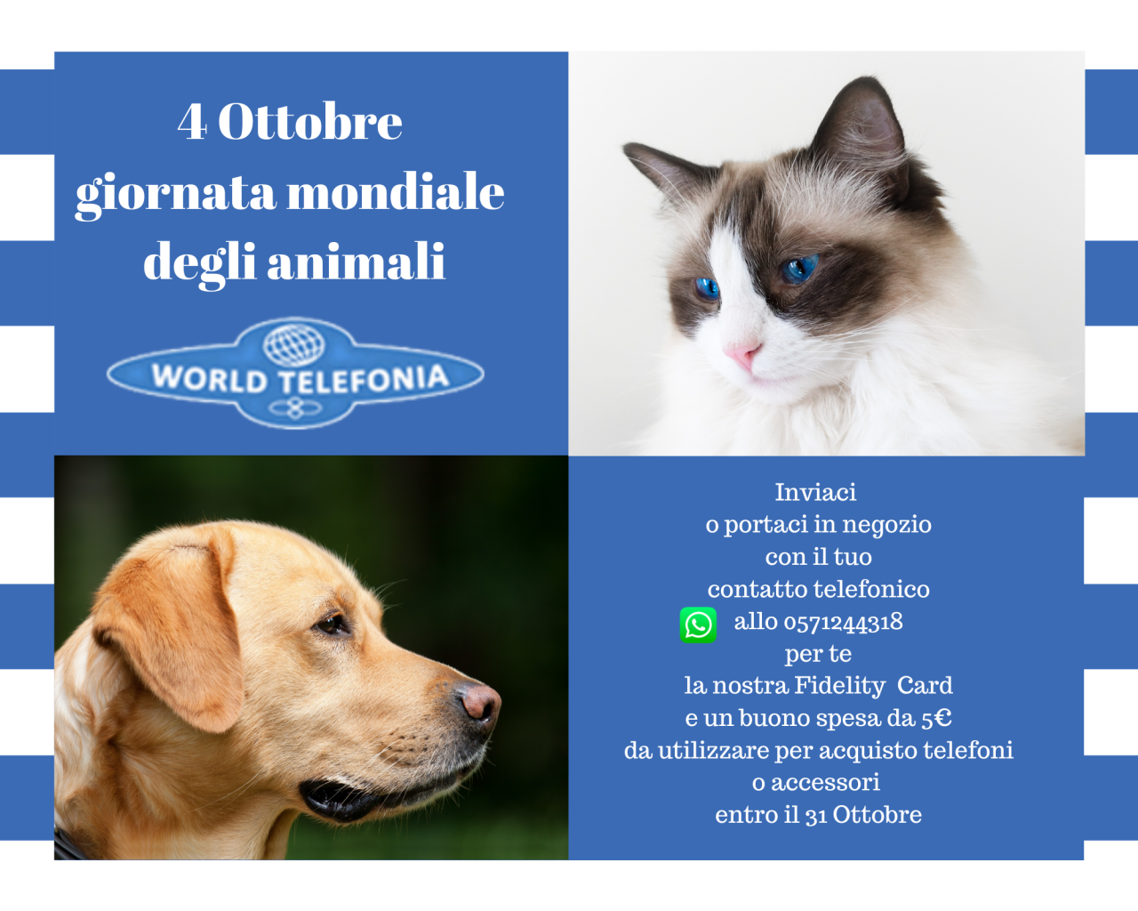 Giornata mondiaLe degli animali